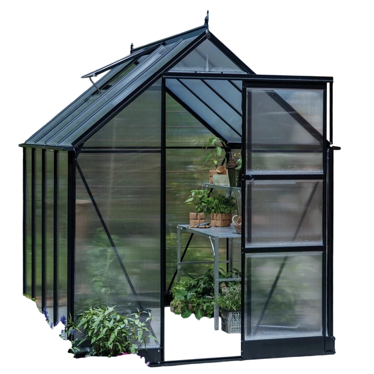 Halls ICON 6 Drivhus i sort 4,9 m² (6' x 8') med 4 mm polycarbonat