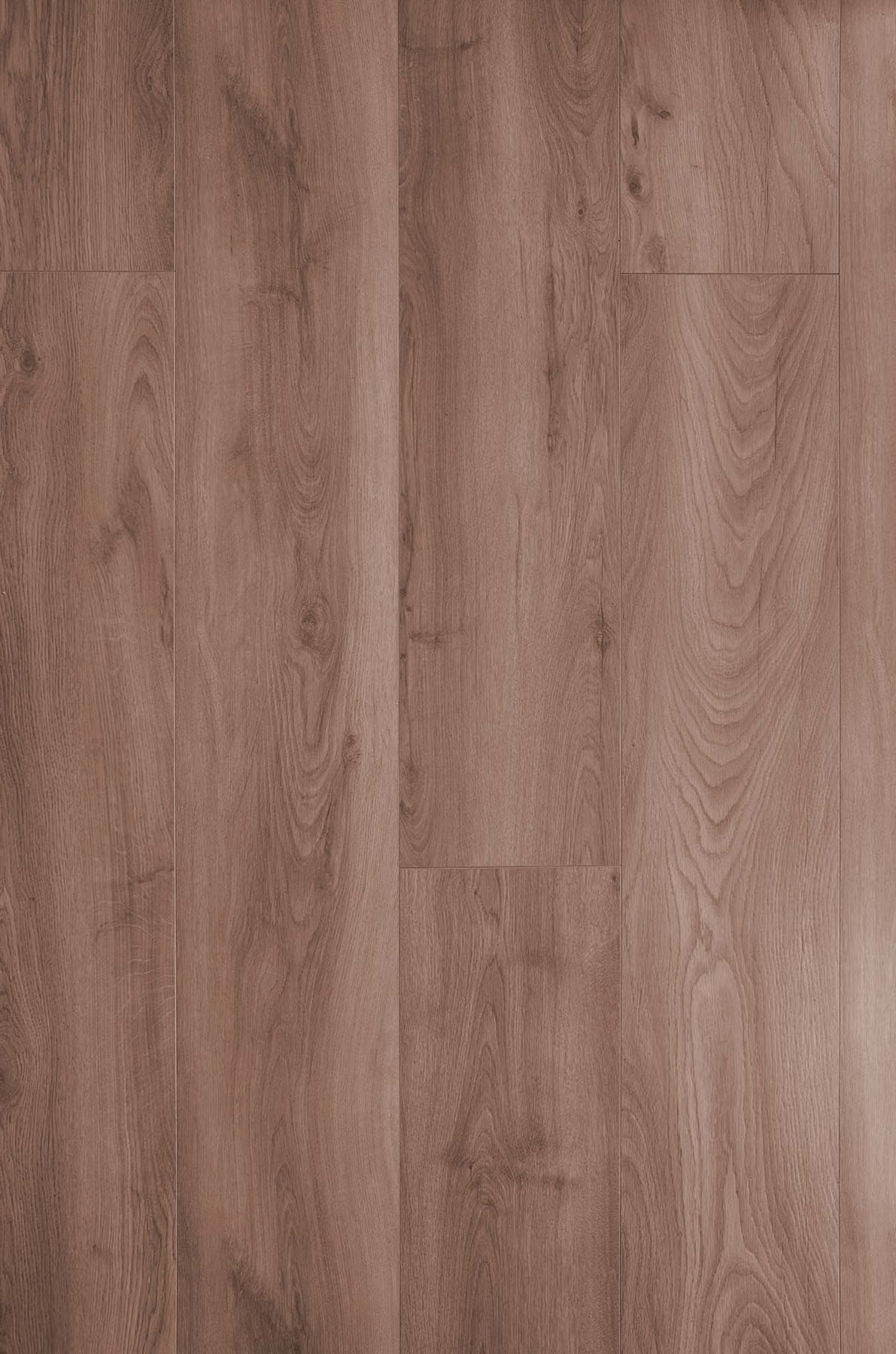 Wallmann Organic Silent Plank 8495 Light Brown oak, V4 Laminatgulv