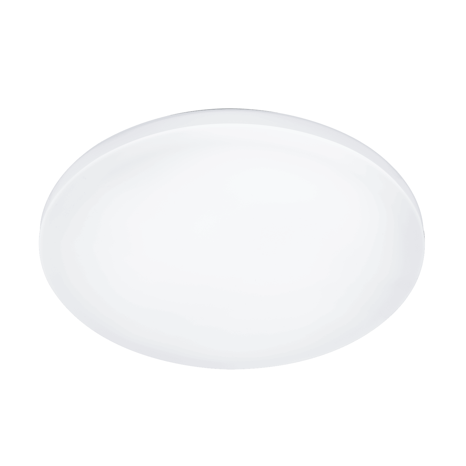 EGLO Ronco Udendørs loftlampe