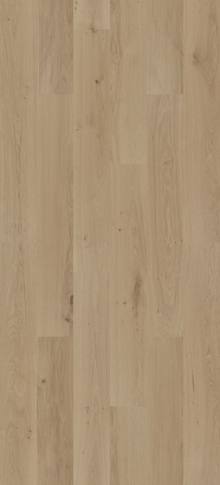 BerryAlloc Parqwood XXL Long Oak Naturel Ambre