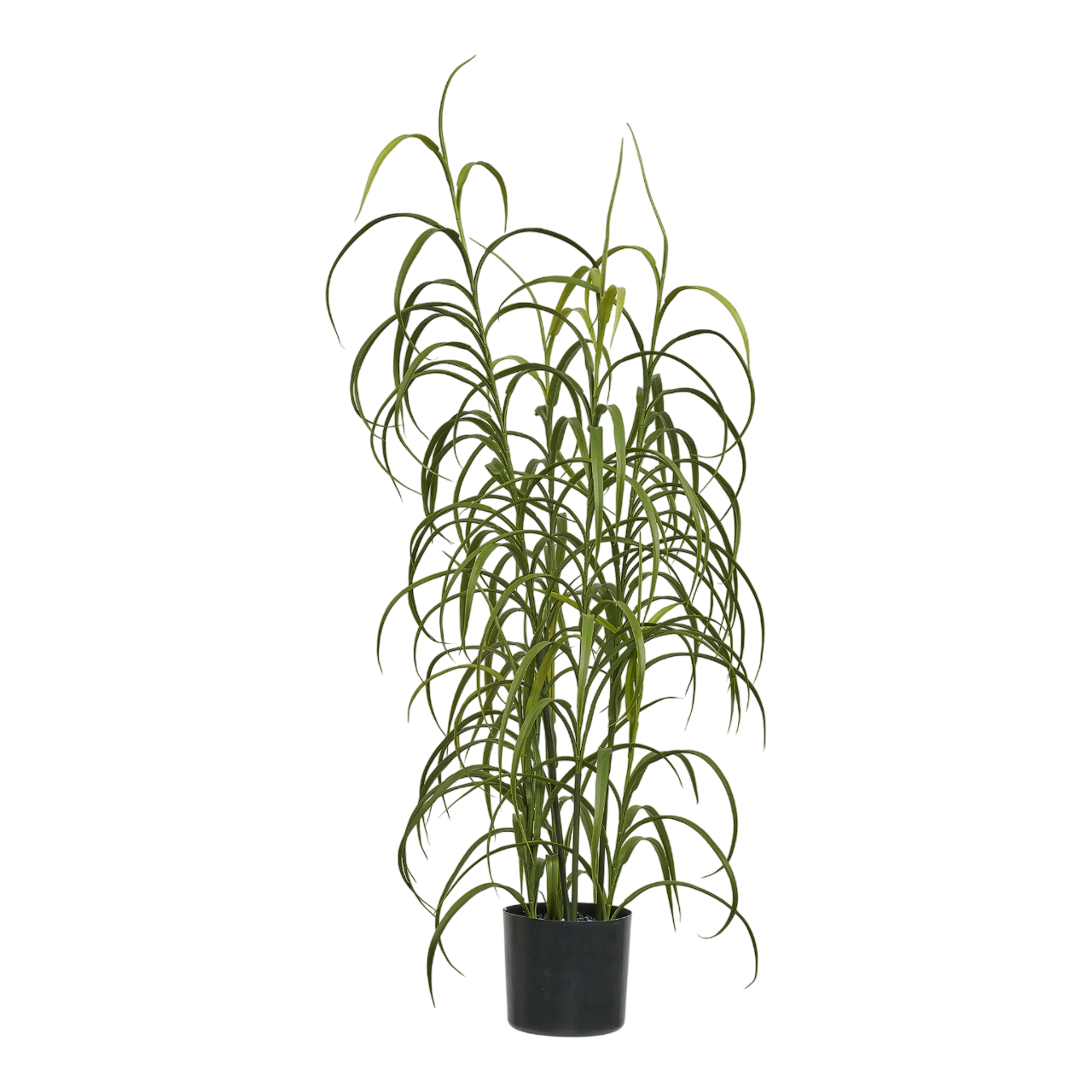 MenaTrend Græs Kunstig plante 68 cm