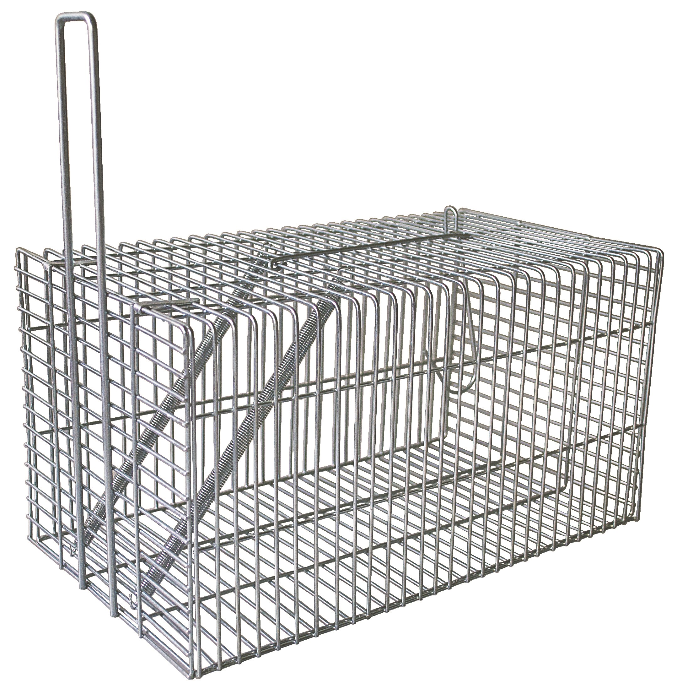Ryom Rottefælde 31 cm