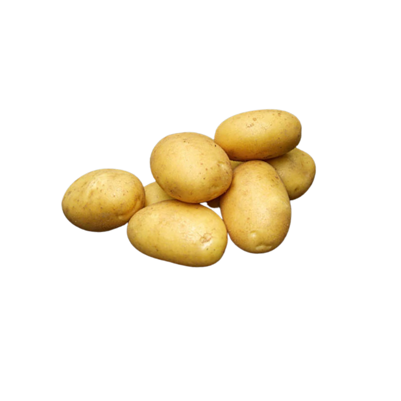 Sava læggekartofler 1,5 kg