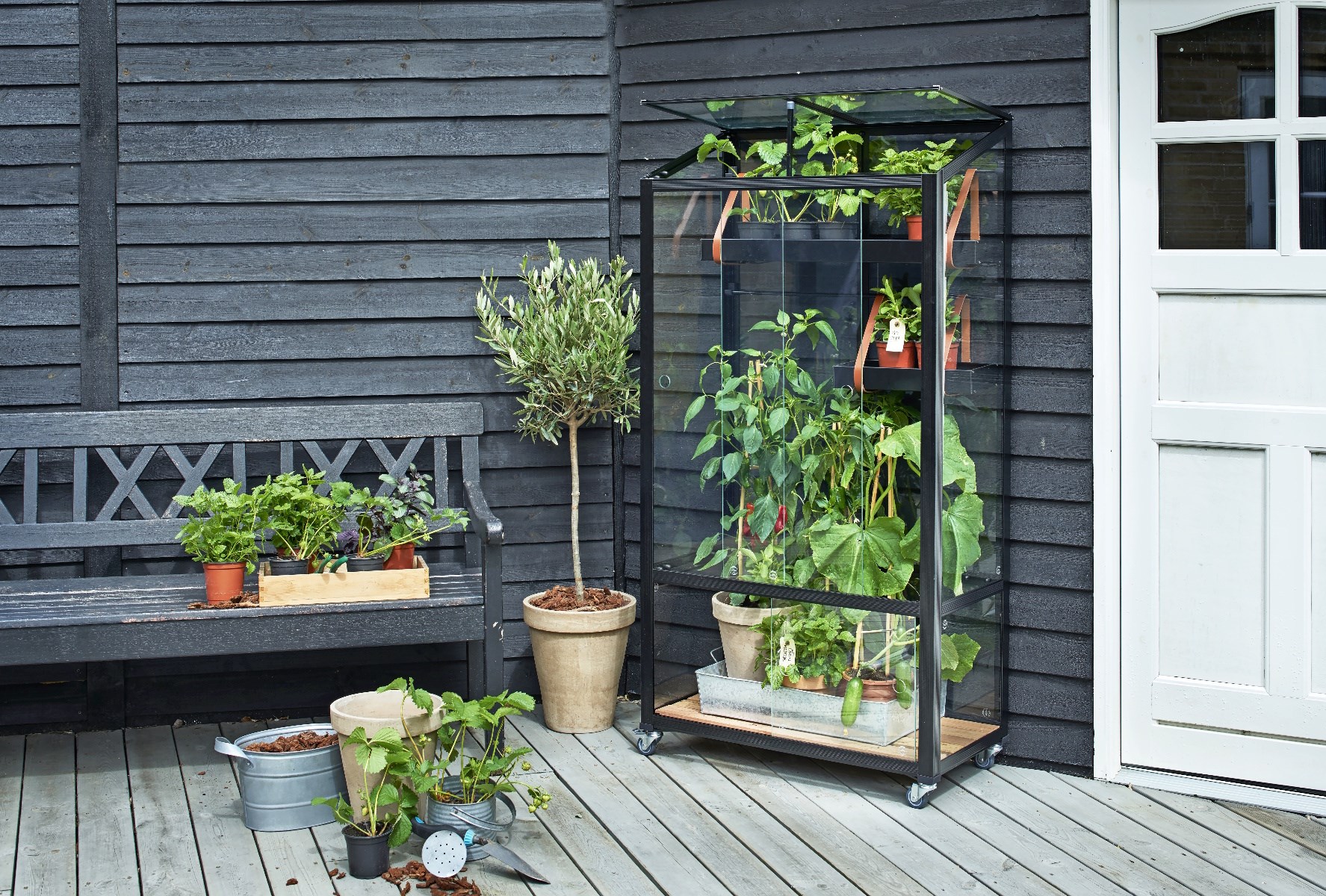 Juliana City Greenhouse 0,32 m2 sort med 4 mm hærdet glas – Altan drivhus