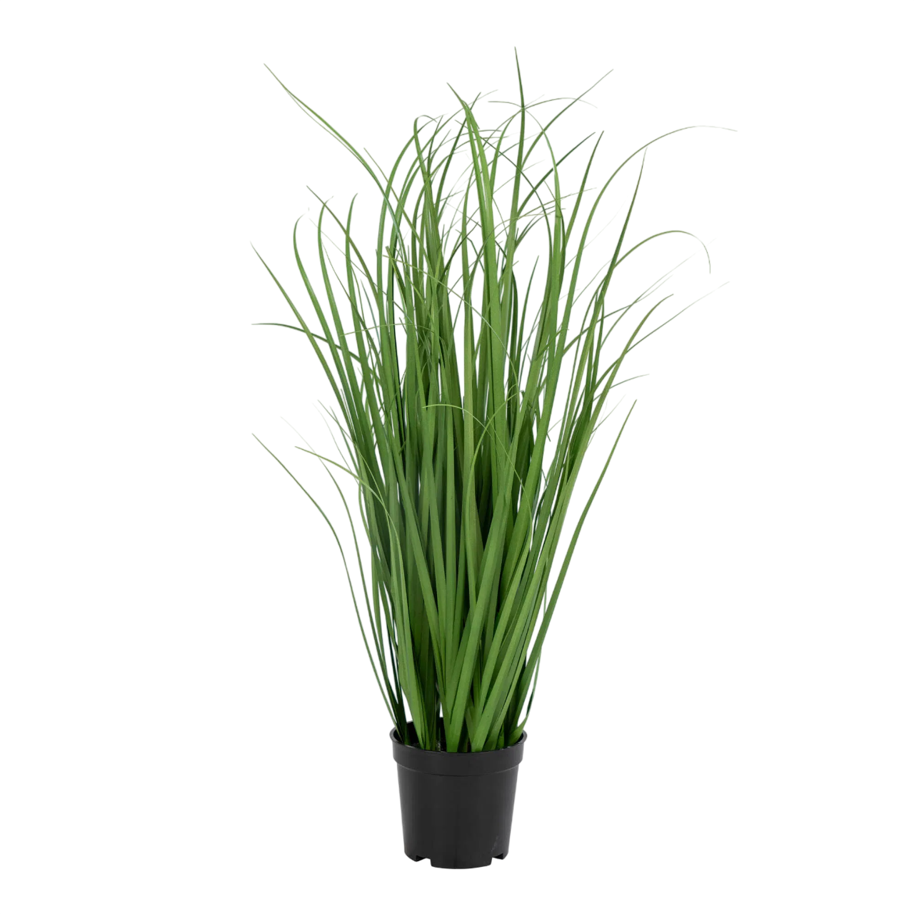 MenaTrend Poa Græs Kunstig plante 68 cm